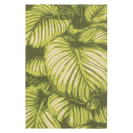 Surya Rain - 5' X 8' Area Rug RAI1264-58